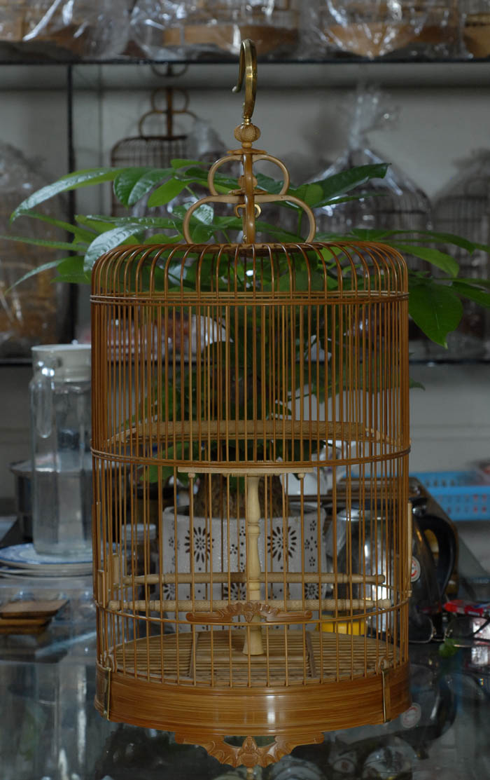 DSC_0001.JPG