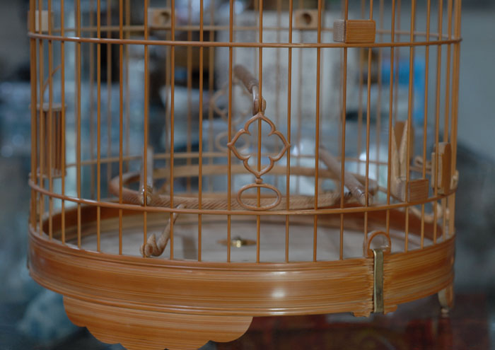 DSC_0011.JPG