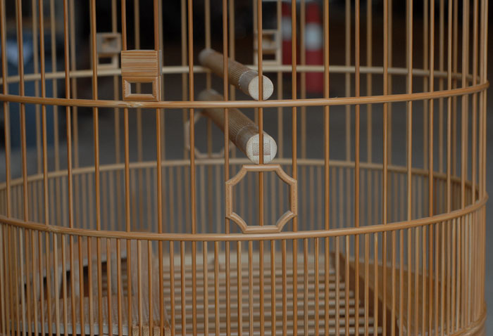 DSC_0018.JPG