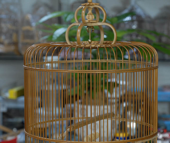 DSC_0007.JPG