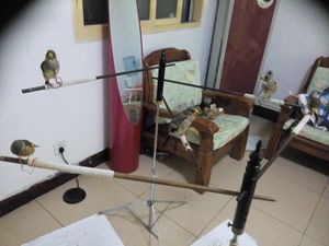 IMG_20141007_210748.jpg