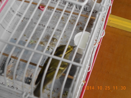 DSCN0492.JPG