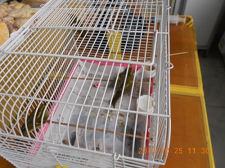 DSCN0491.JPG