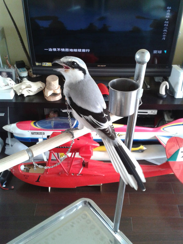 20141011_092759.jpg