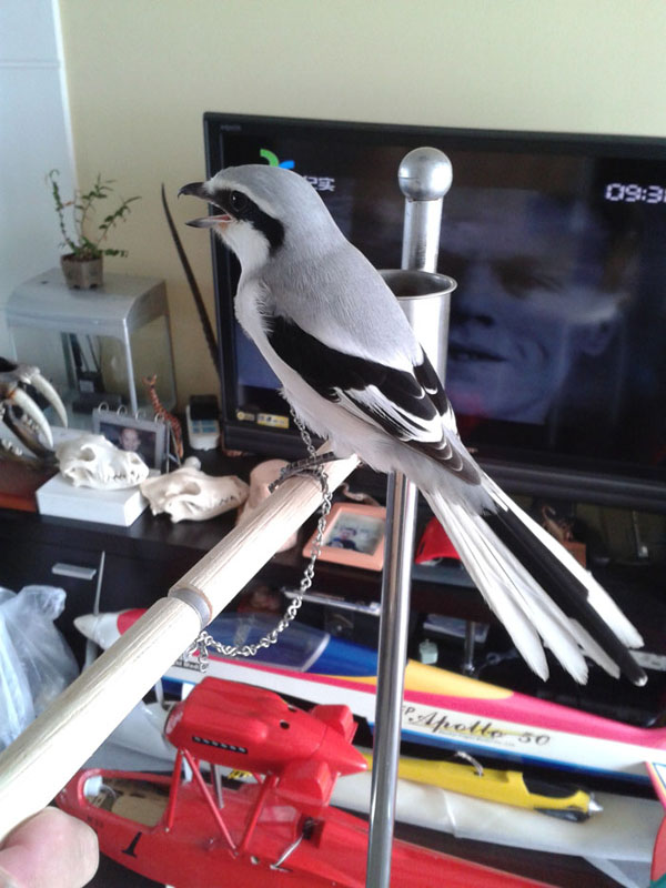 20141011_093032.jpg