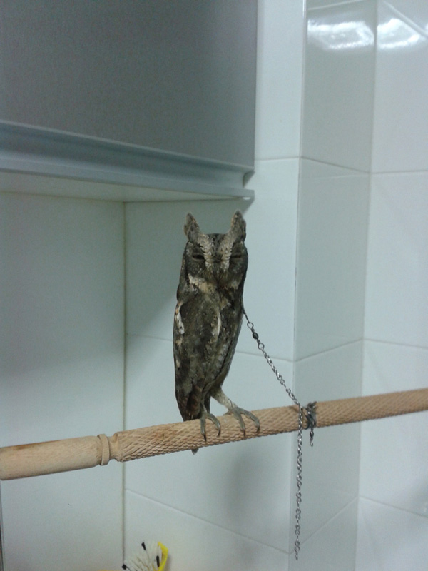 20141026_003906.jpg