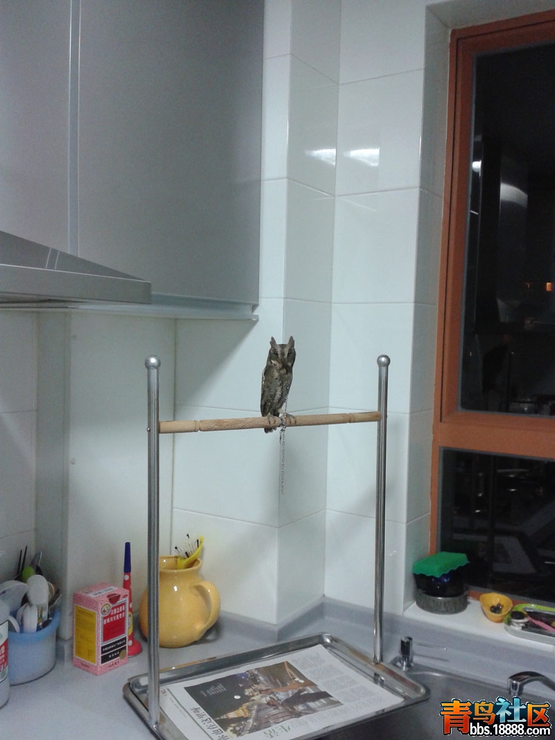 20141026_000644.jpg