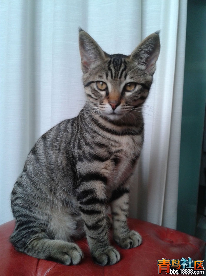 20130417_170642.jpg