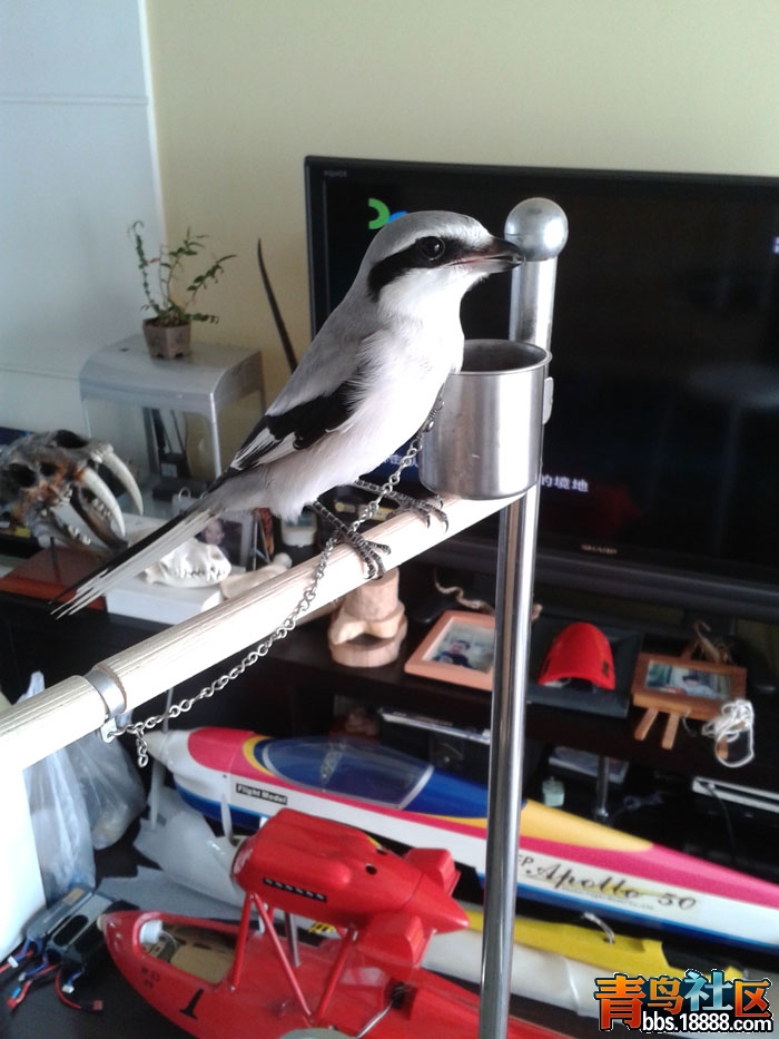 20141011_092935.jpg