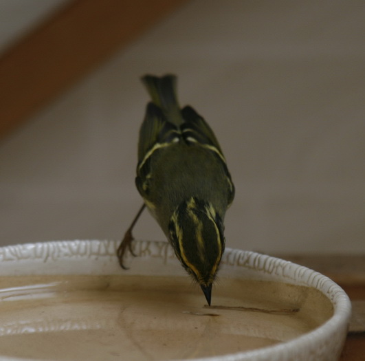 _MG_0902_调整大小.jpg