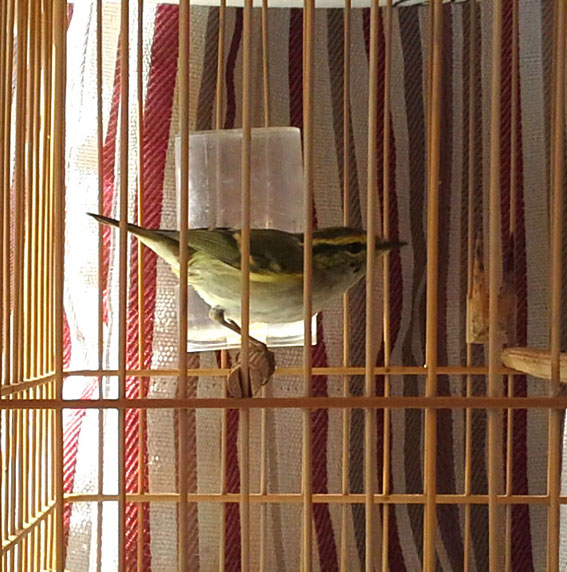 20141019_101848.jpg