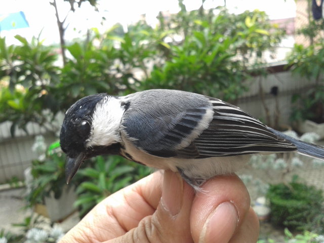 20141001_124401.jpg