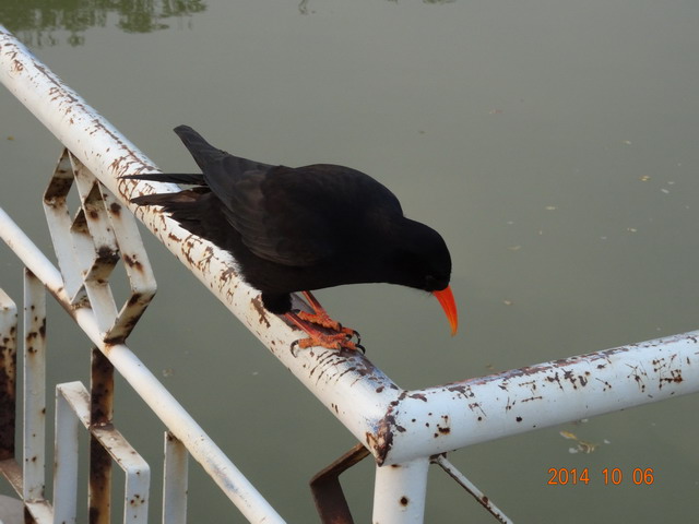 DSC00379.jpg