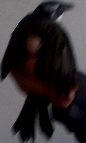 IMG_20141005_163328_副本.jpg