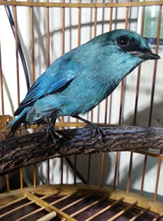 20141030_000630gai.jpg