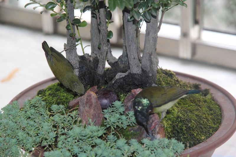 DPP_0007.jpg
