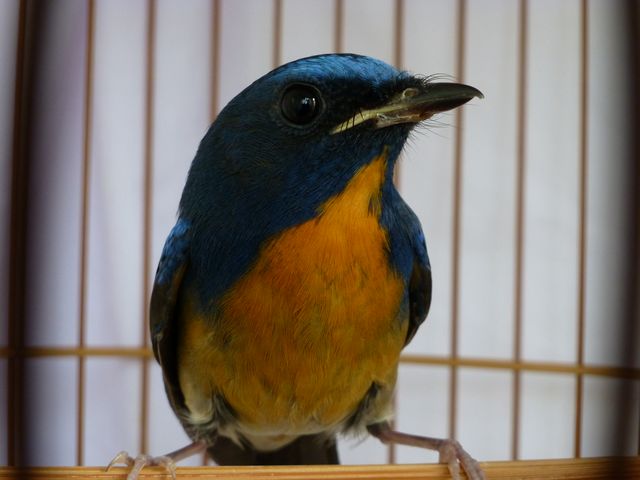 P1020535.JPG