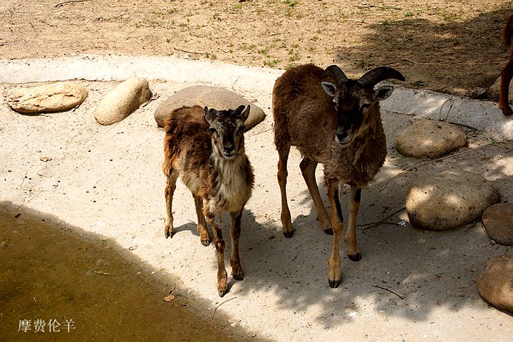 DSC01758.JPG
