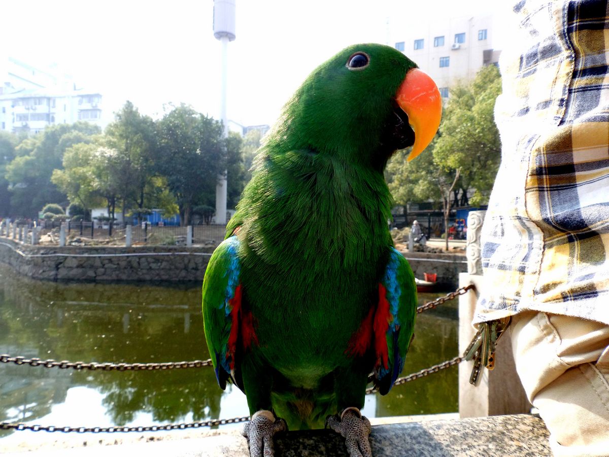 20.jpg