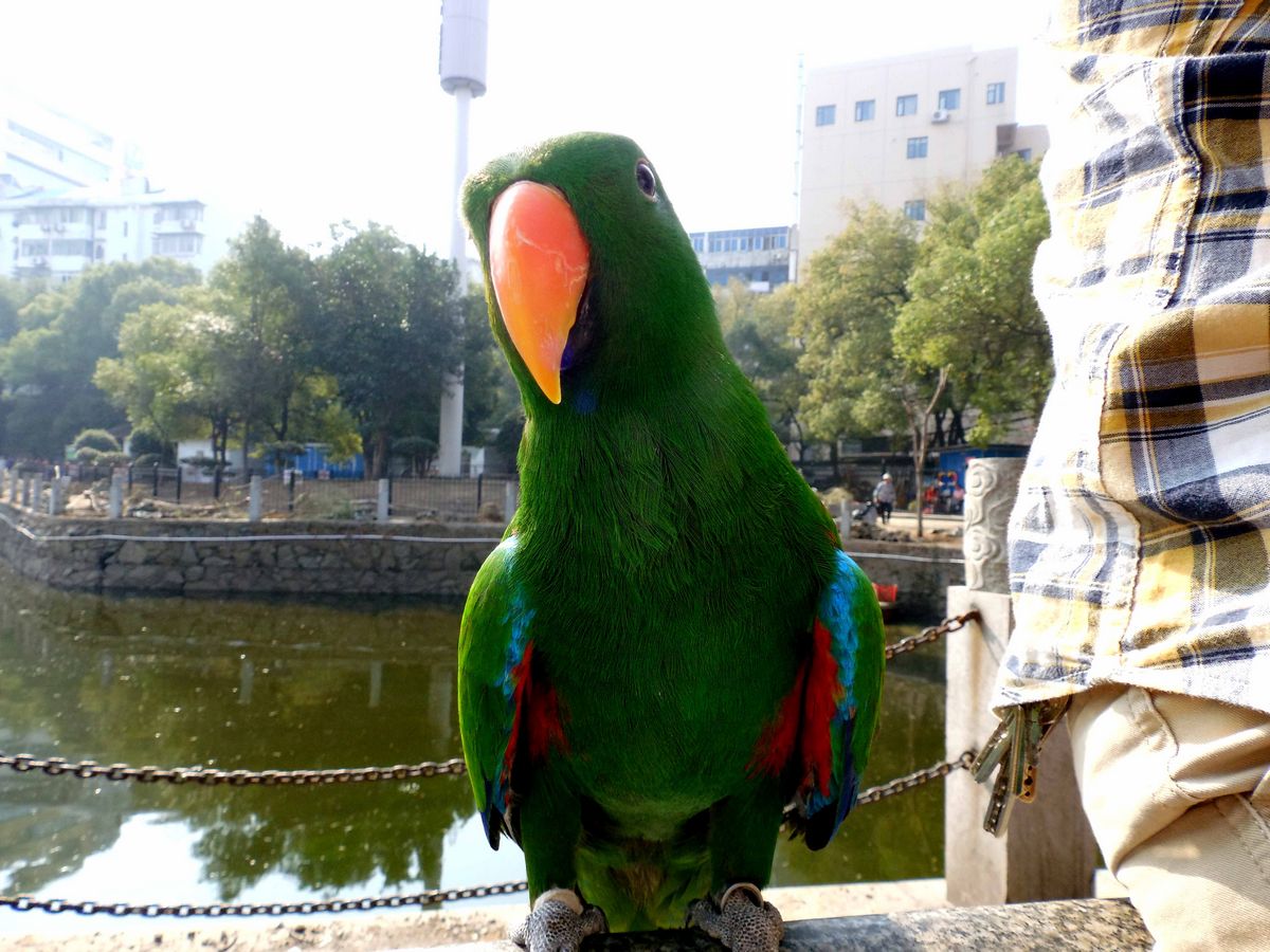 19.jpg