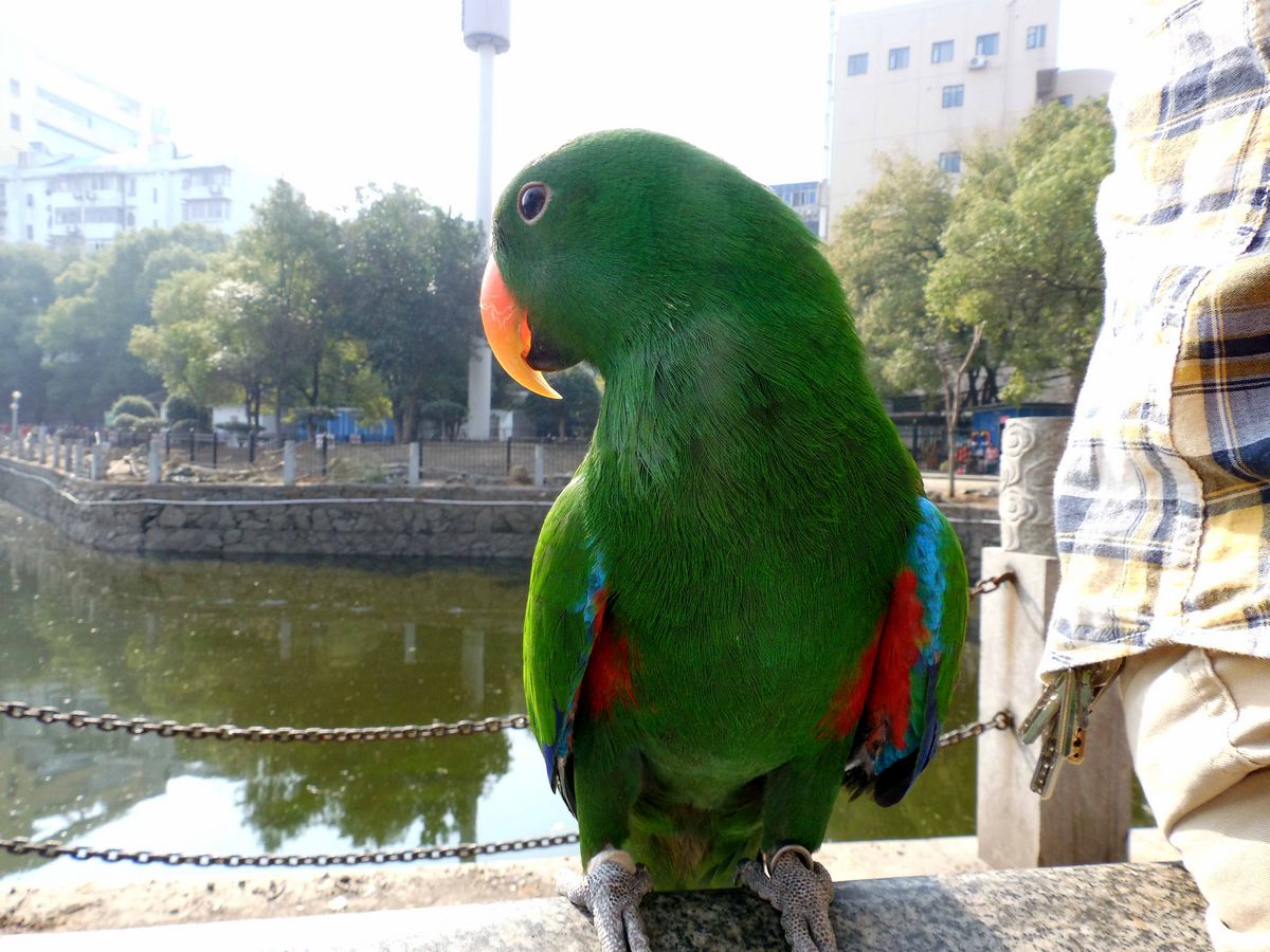13.jpg