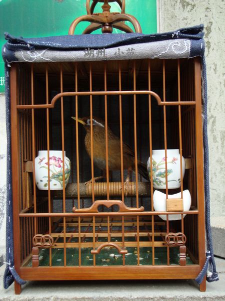 DSC07586.JPG