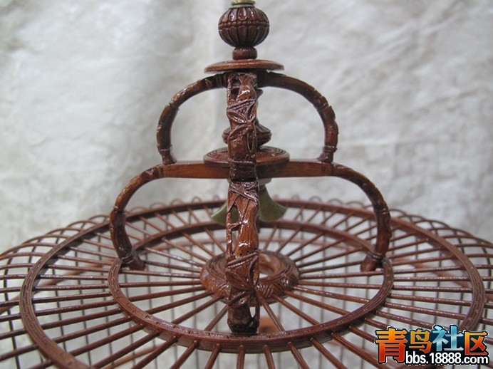 IMG_9945_调整大小.JPG