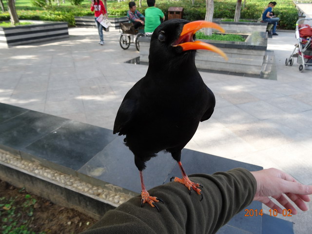 DSC00261.jpg