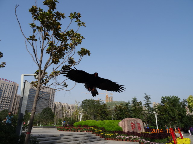 DSC00287000.jpg