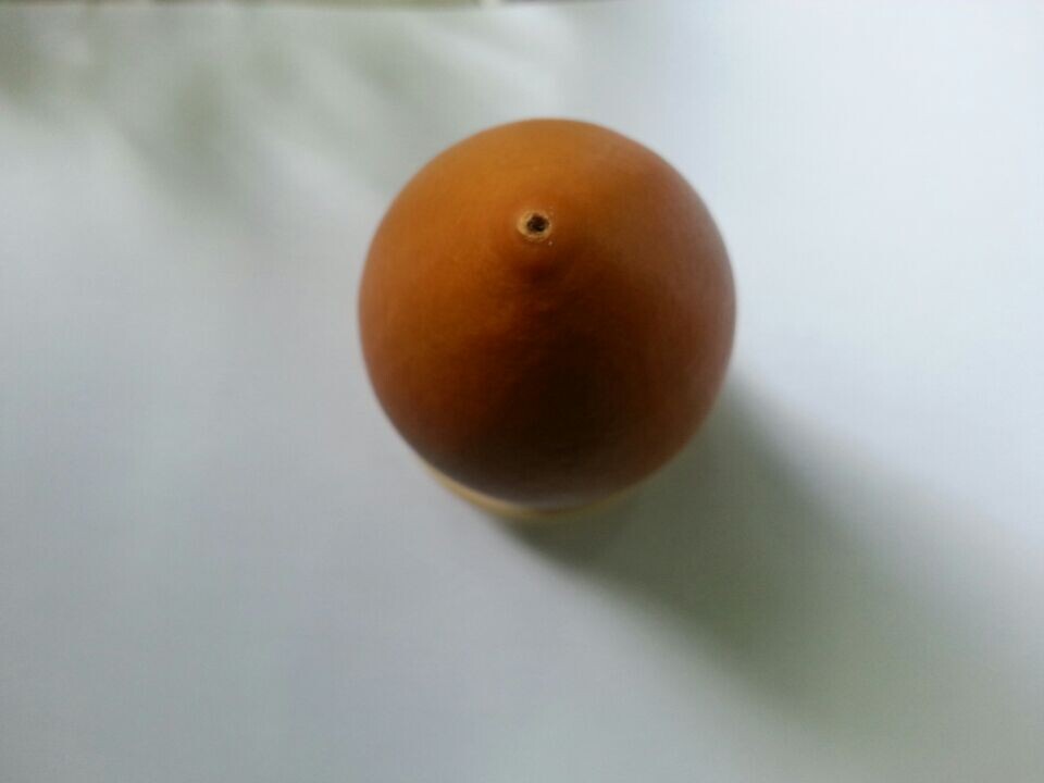 228.jpg