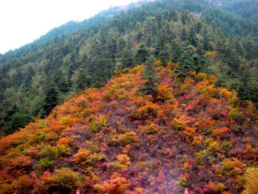 2芳草海1.JPG