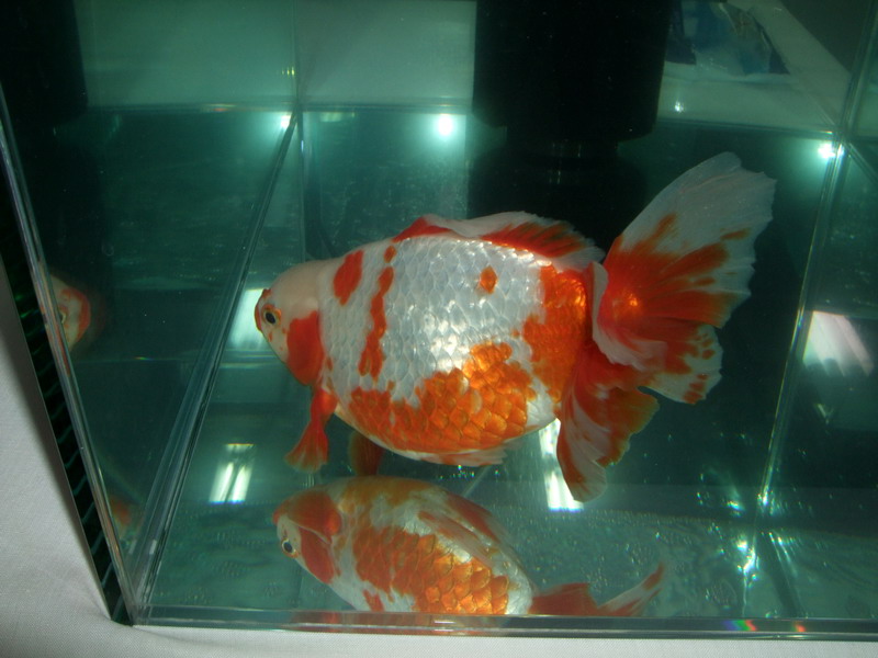 DSCF3862.jpg