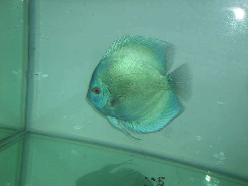DSCF3902.jpg
