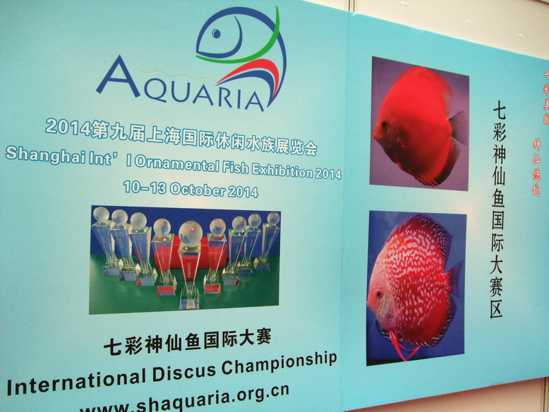 DSCF3908.jpg