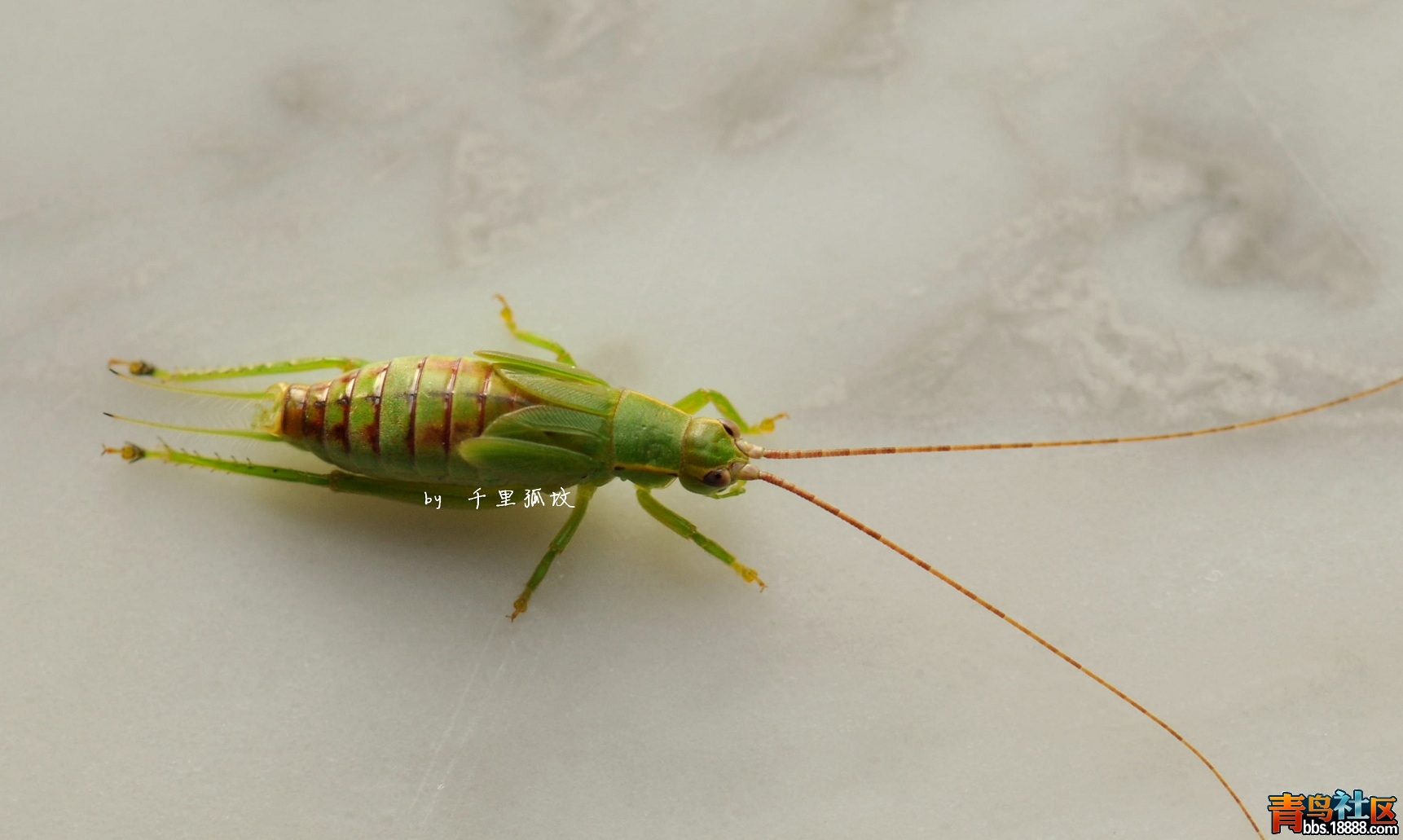 DSC_0191_副本.jpg
