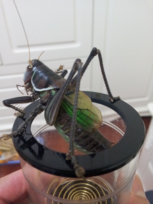 20141021_190310.jpg