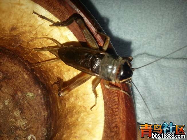 20141005_101358.jpg