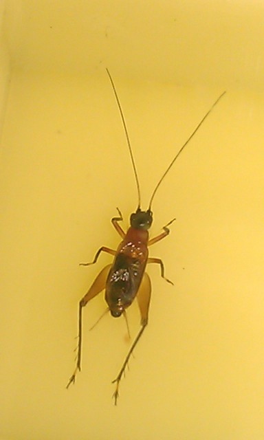 IMAG0152.jpg