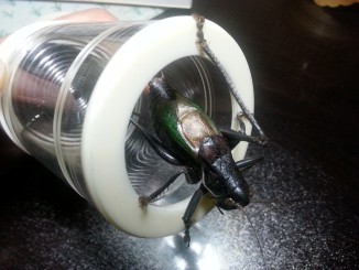 20141003_201449.jpg