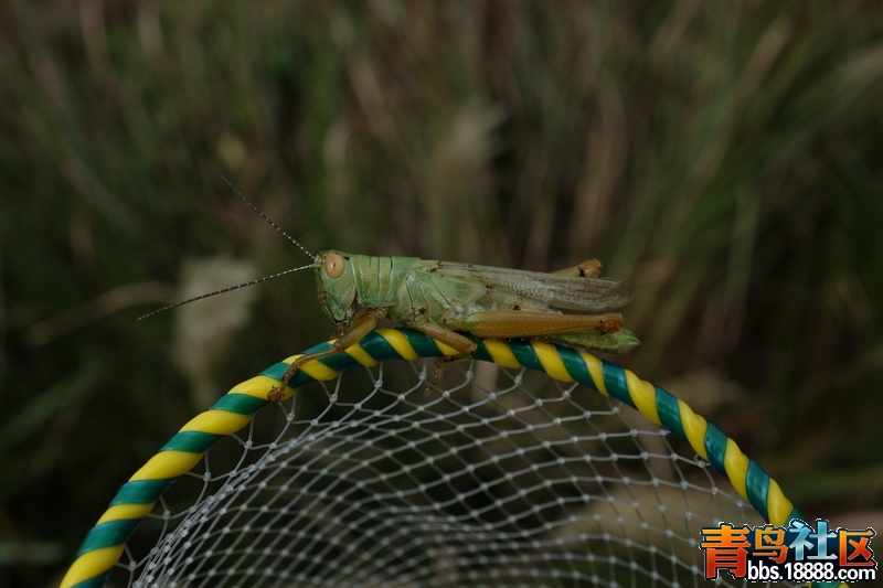 DSCF9609.jpg