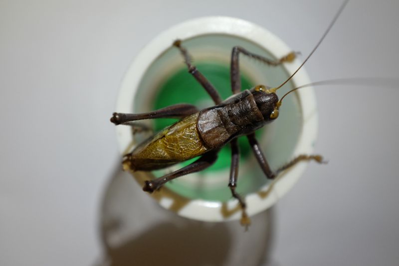 DSCF5153.JPG