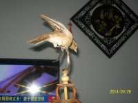 psb (13).jpg