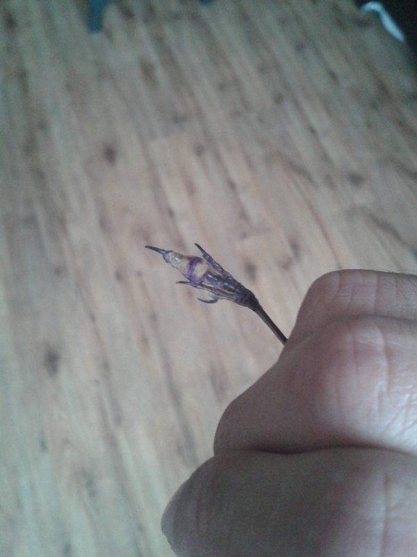 20141021_164324.jpg