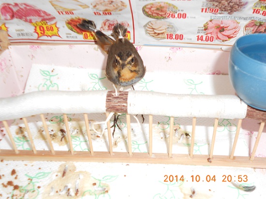 DSCN0421.JPG