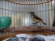 IMG_20140916_082318.jpg