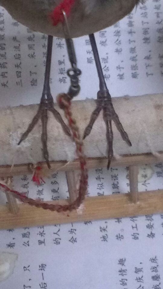 QQ图片20141030221649.jpg