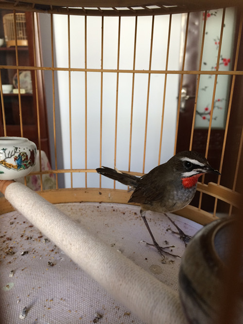 2014-10-13 144122_副本88.jpg