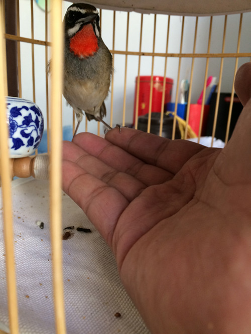2014-10-13 110319_副本12.jpg