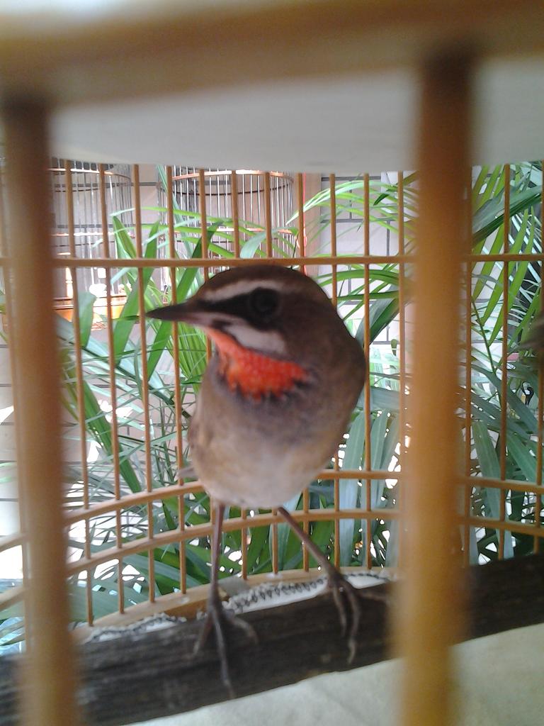 20141004_104657.jpg