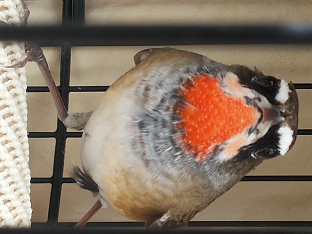 20141004_130444.jpg